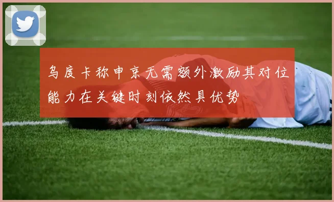 乌度卡称申京无需额外激励其对位能力在关键时刻依然具优势