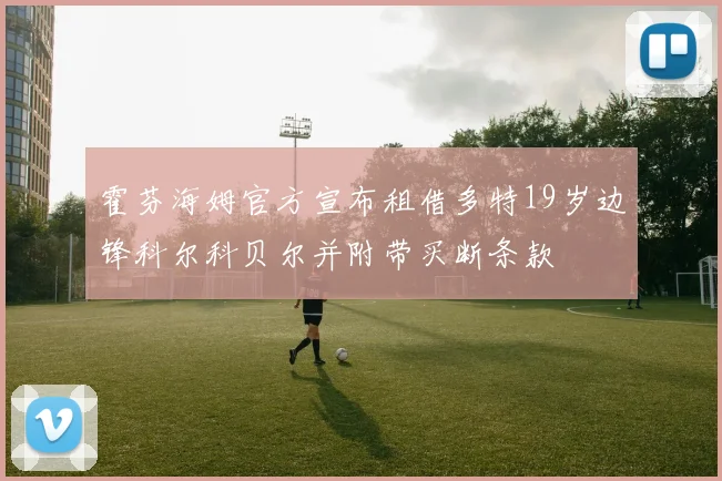 霍芬海姆官方宣布租借多特19岁边锋科尔科贝尔并附带买断条款