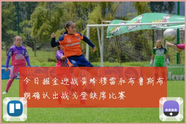今日掘金迎战黄蜂穆雷和布鲁斯布朗确认出战戈登缺席比赛