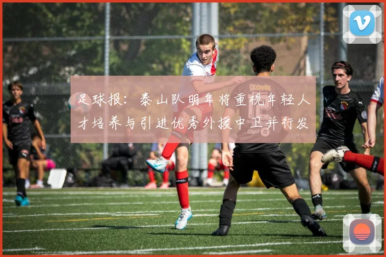足球报:泰山队明年将重视年轻人才培养与引进优秀外援中卫并行发展