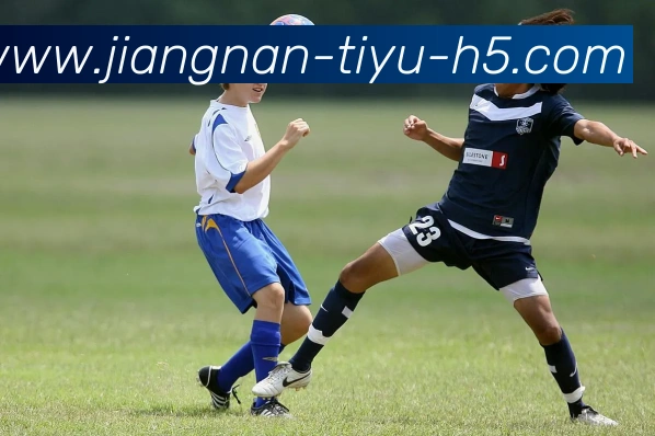 江南体育APP 封面图