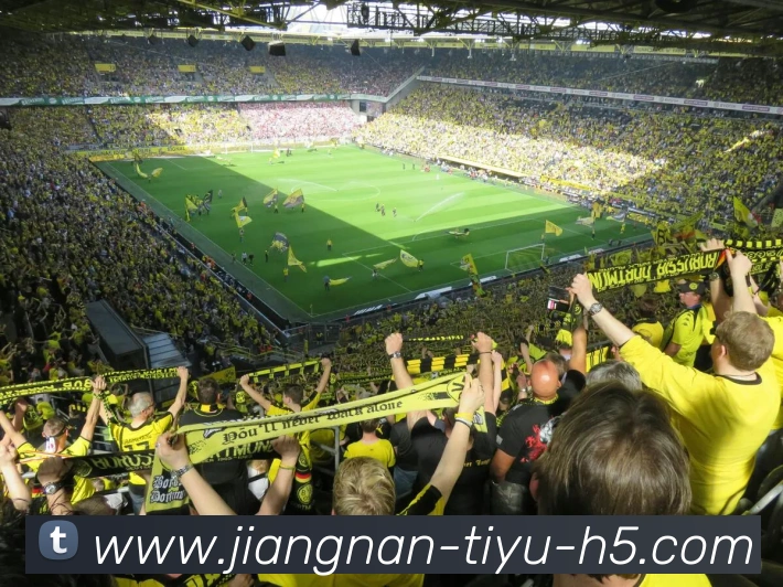 数据防护可视化